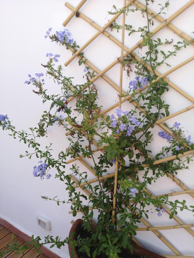 시라쿠사 L'Approdo Delle Sirene B&B 외부 사진